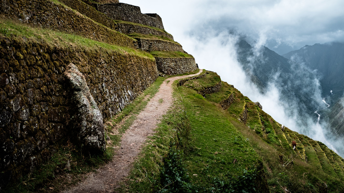 Short Inca Trail to Machu Picchu 2 Days